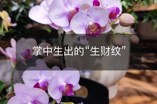 掌中生出的“生財紋”